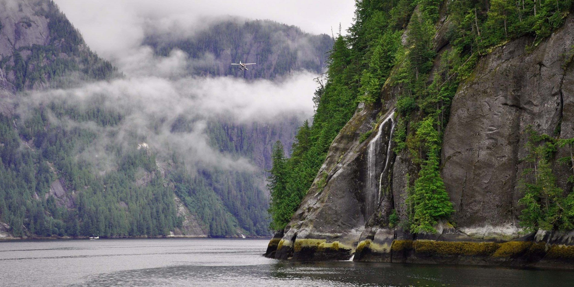 Explore the mysterious beauty of the fjord.