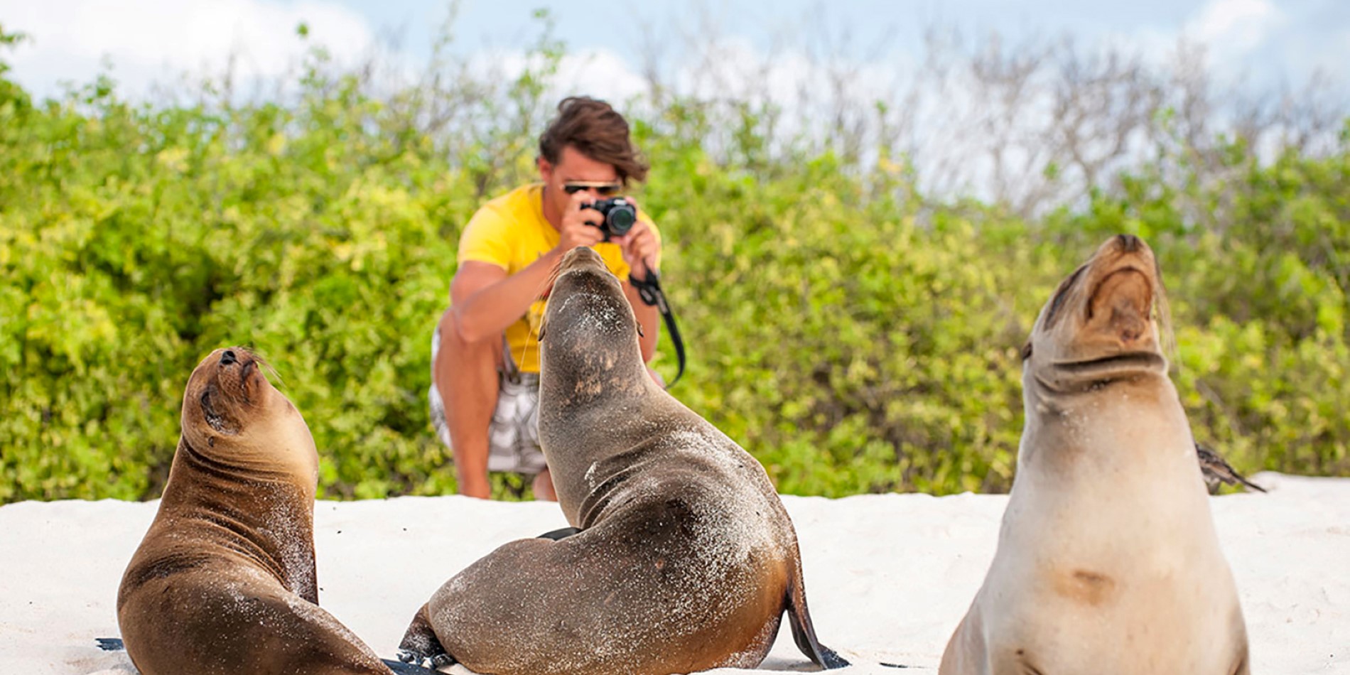 Seal watching in the Galápagos Islands