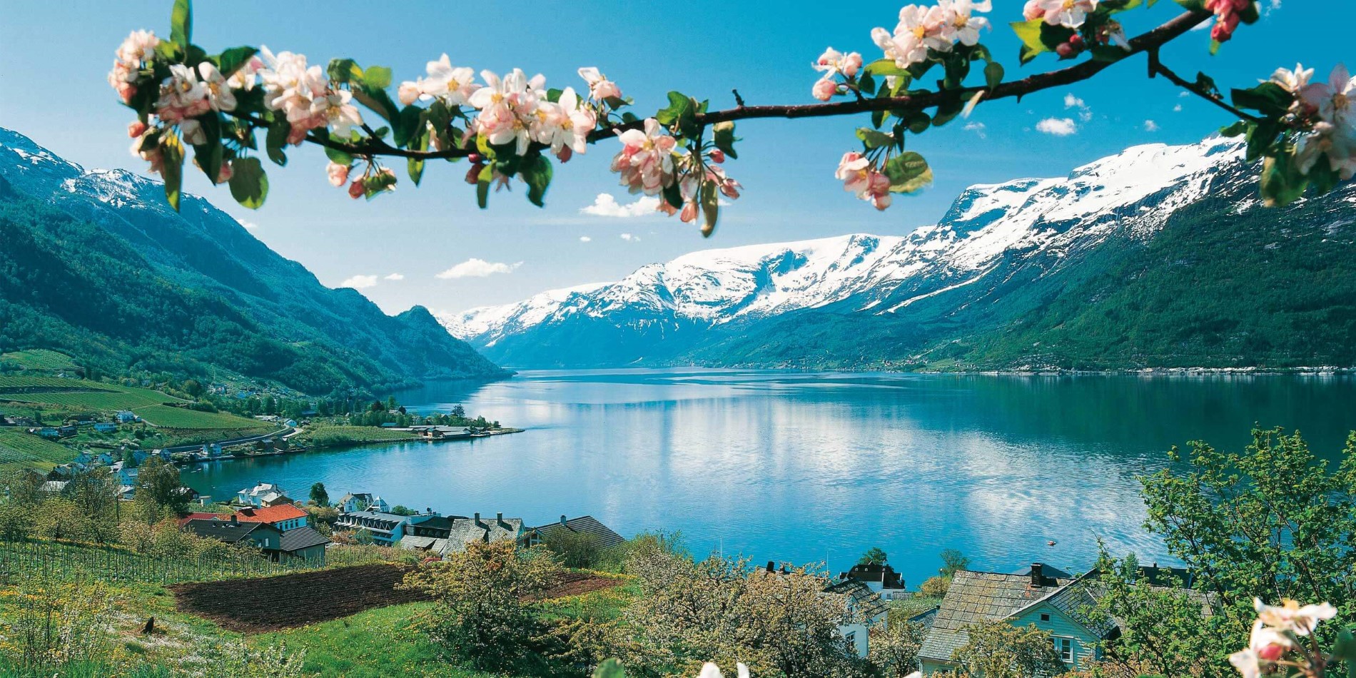 Views of Hardangerfjord
