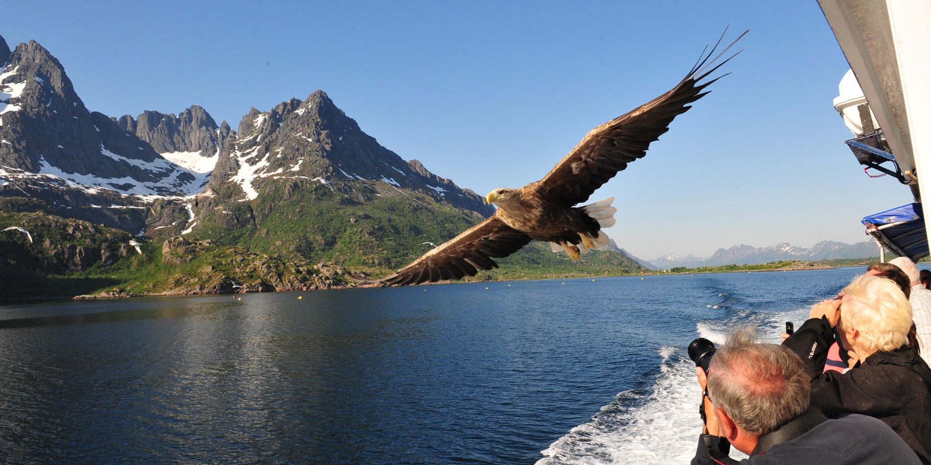 Sea Eagle Safari, Norway