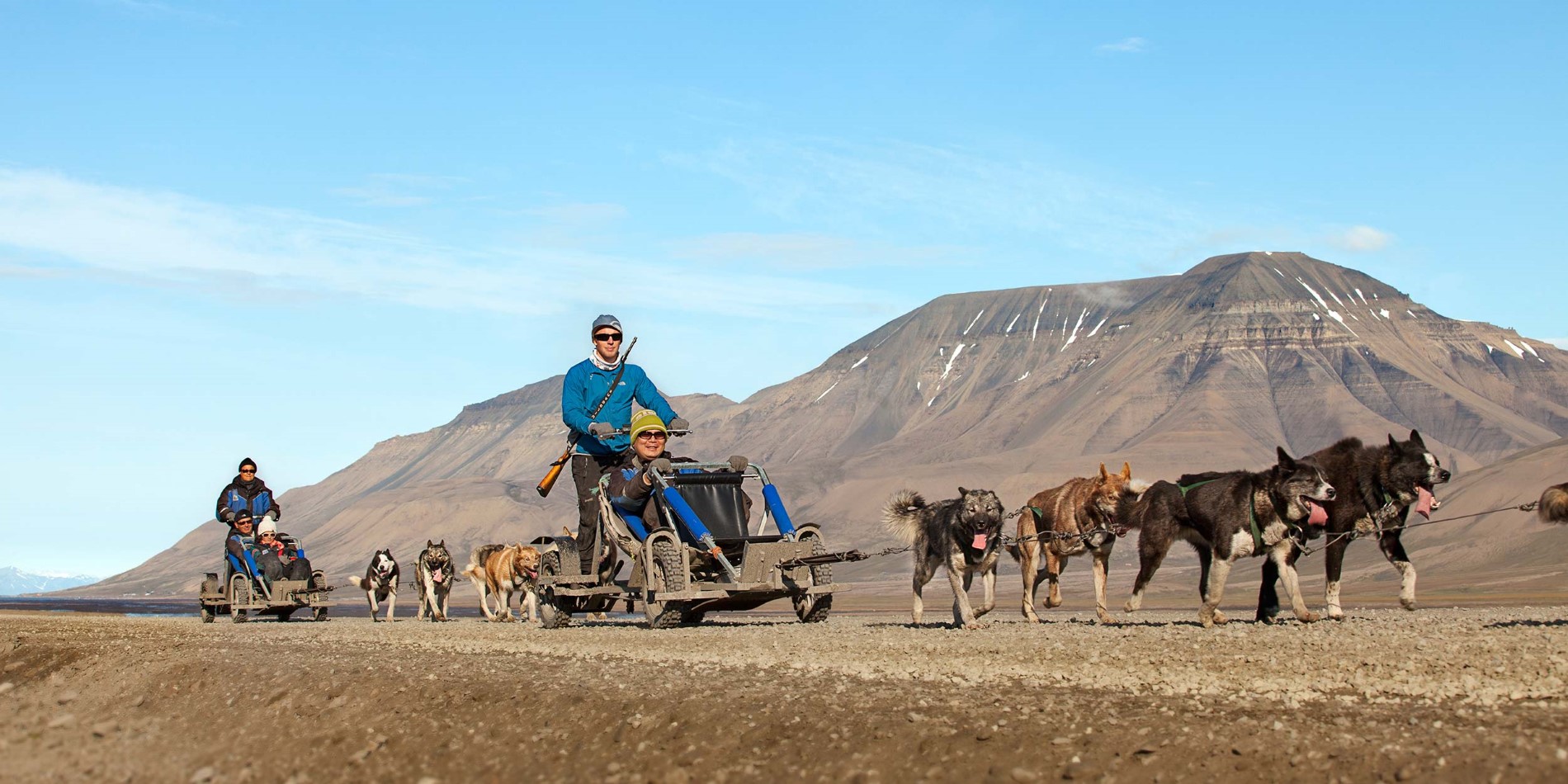 This is a fantastic chance to ride a dog sled even though it isn't winter.