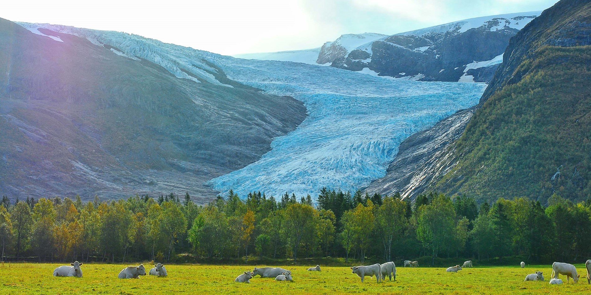 Svartisen – once the glacier streched over this field