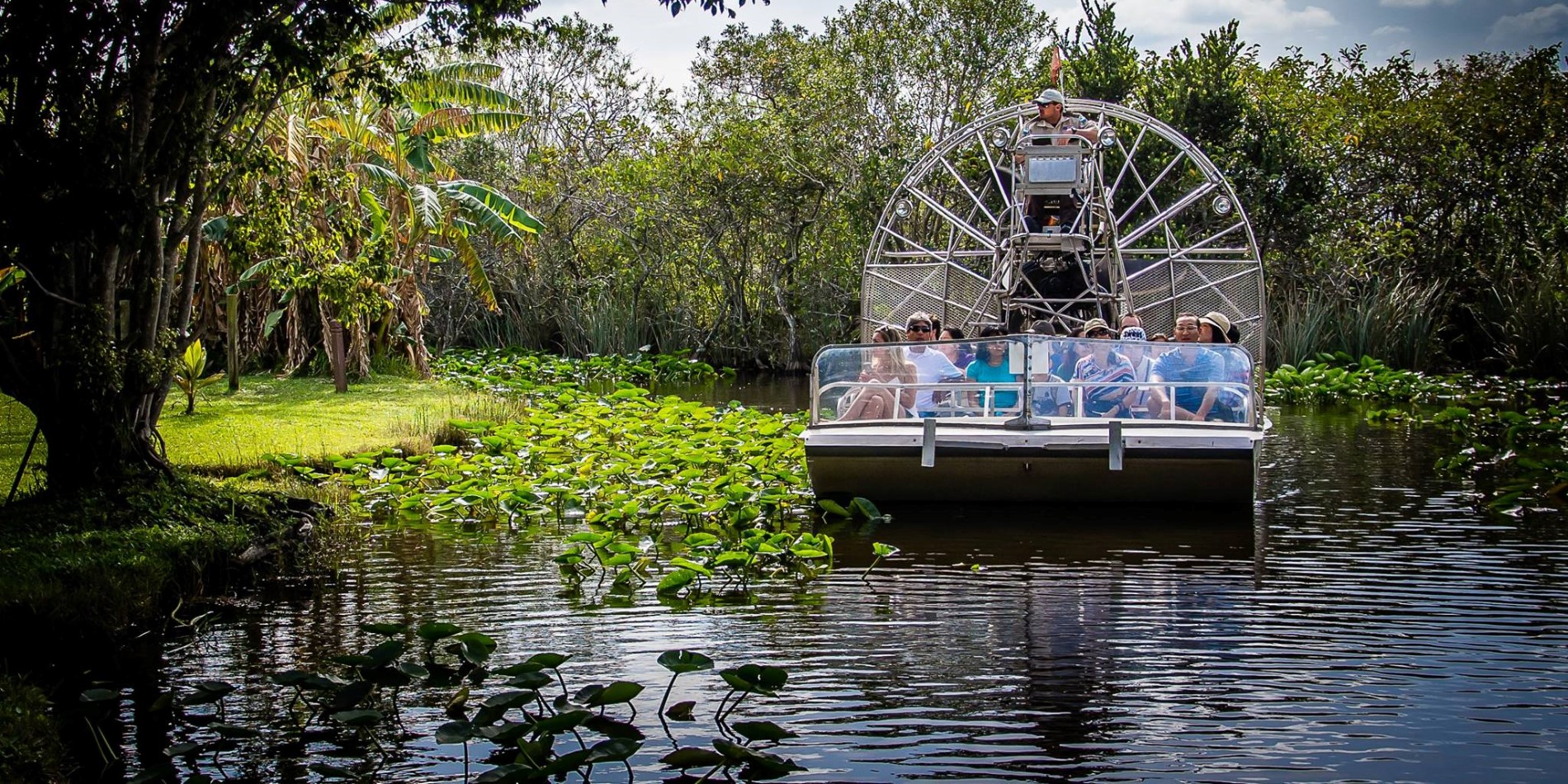 Airboat safari ride through the Florida Everglades