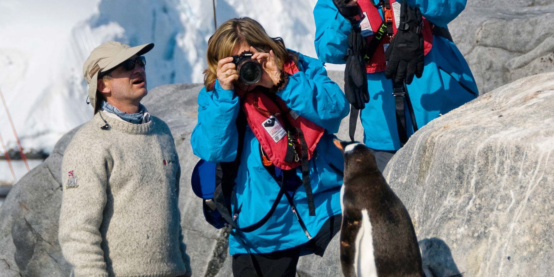 Three people getting close to penguins and taking photos